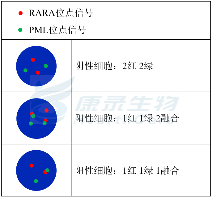 中国·拉斯维加斯(3499·官方认证)网站-Officialwebsite